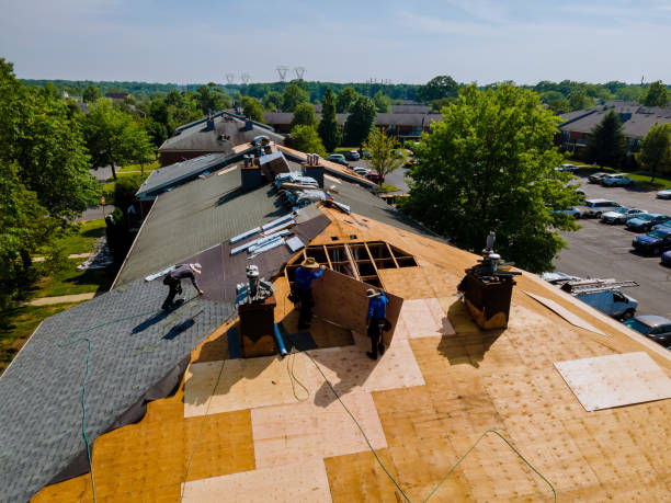 Trusted Storm Damage Roof Repair service in Ash, NC - Brentwood Metal Roofing